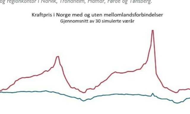 Bjørnar Moxnes om strøm-rapport: - Idiotanalyse
